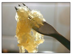 Dulce de Cayote