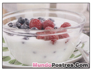 manjar de frutos rojos manjar de frutos rojos